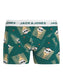 JACICE SKULL TRUNKS 3 PACK - STORM